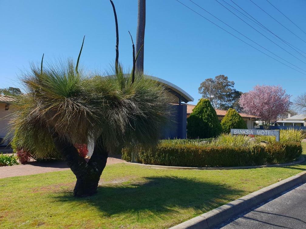Banksia Motel Collie Buitenkant foto